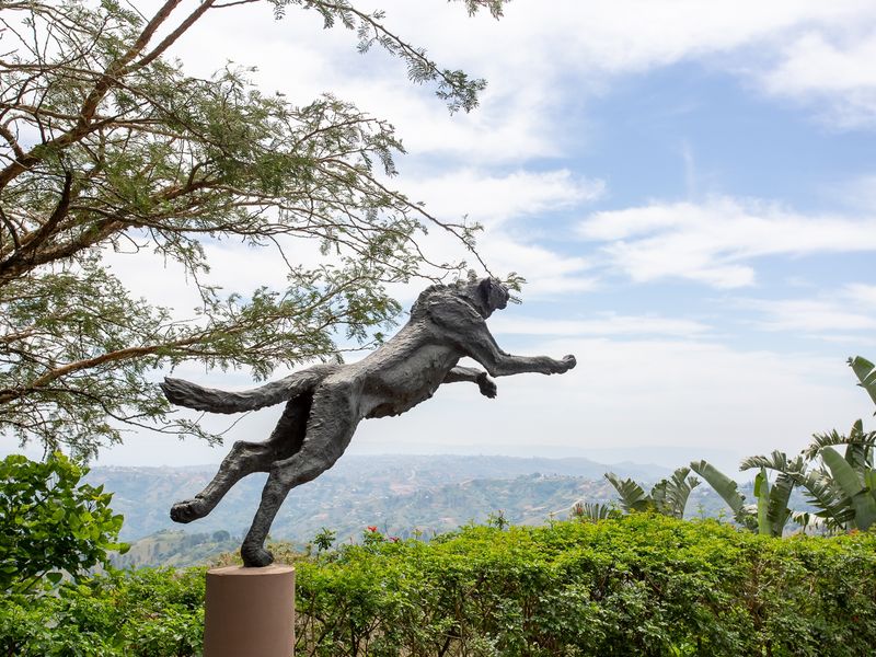 Phezulu Estate Stunner with 1000 Hills Valley Views - Photo 7