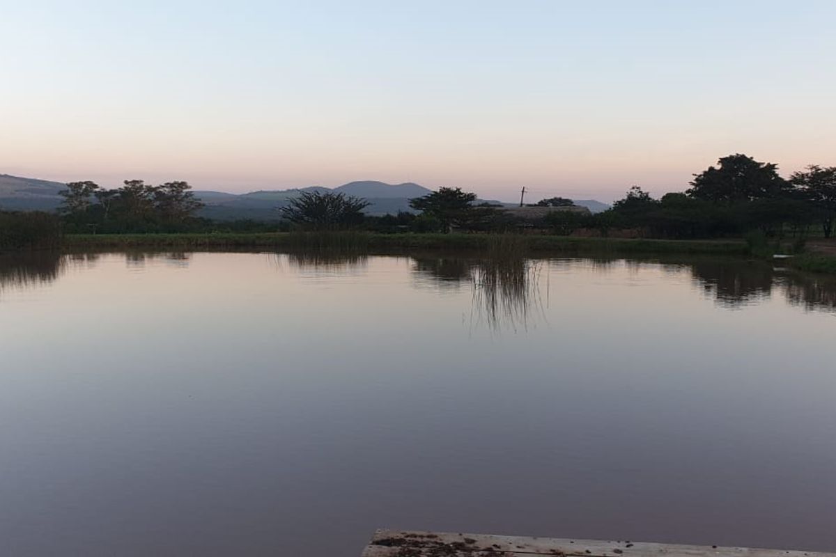 A serene view of a natural farm pond set against a backdrop of rolling hills and open landscape.