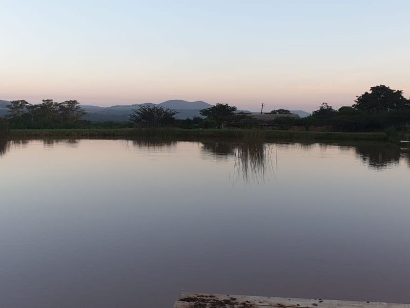 A serene view of a natural farm pond set against a backdrop of rolling hills and open landscape.