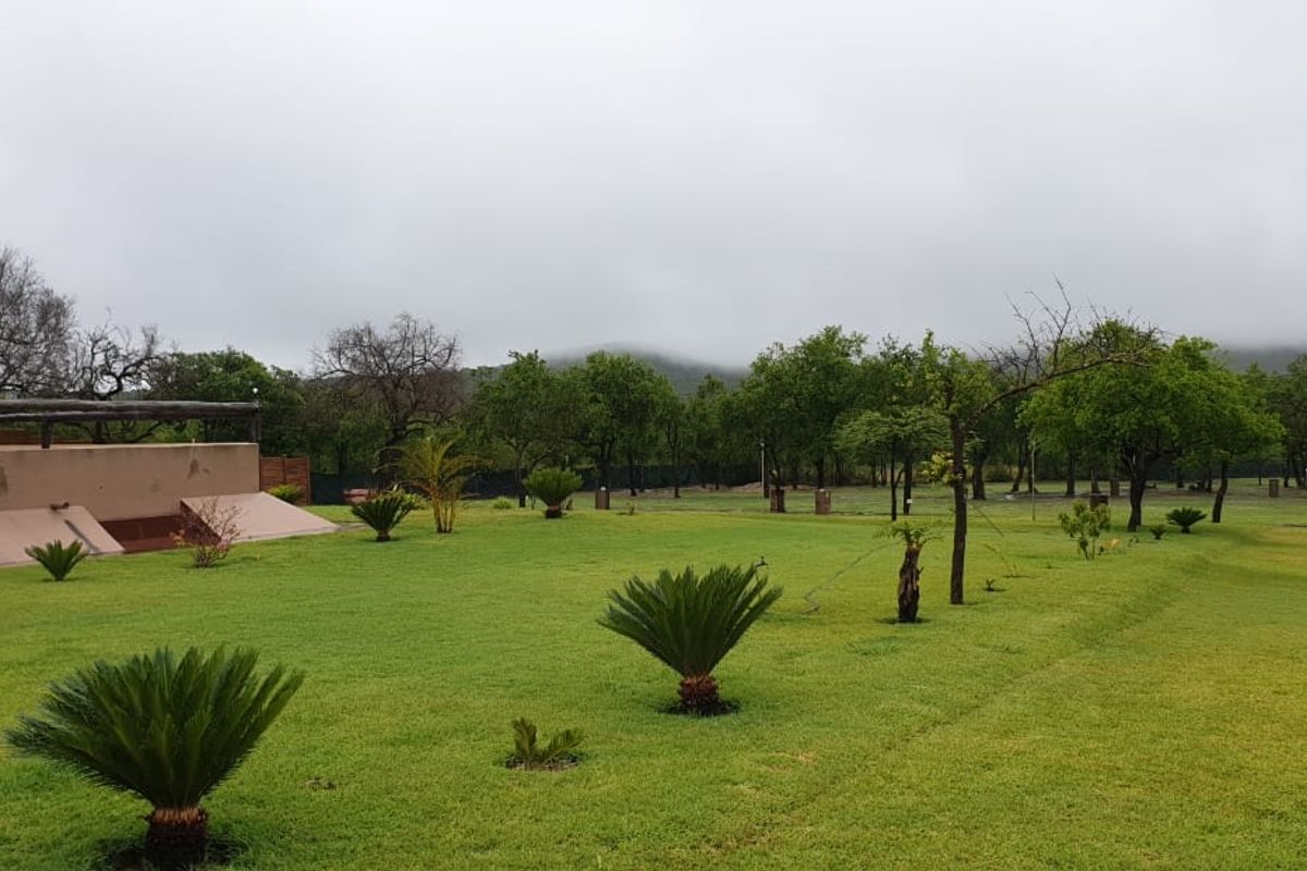 A spacious, well-maintained garden area featuring manicured lawns, established trees, and cycad plantings, set against a backdrop of natural landscape.