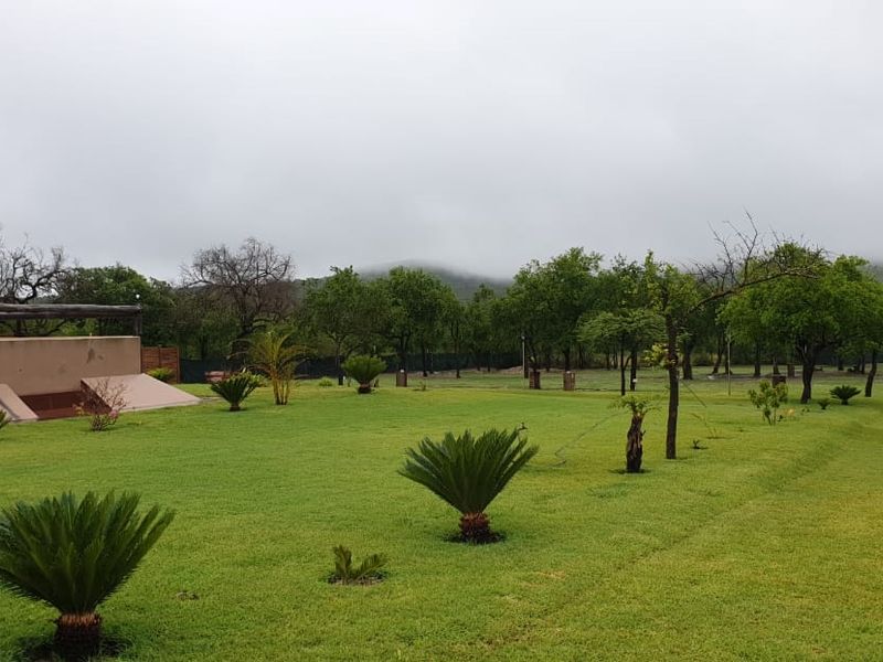 A spacious, well-maintained garden area featuring manicured lawns, established trees, and cycad plantings, set against a backdrop of natural landscape.