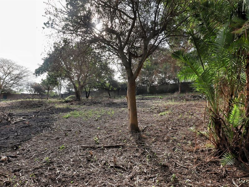 Prime Land in Mtubatuba! - Photo 9