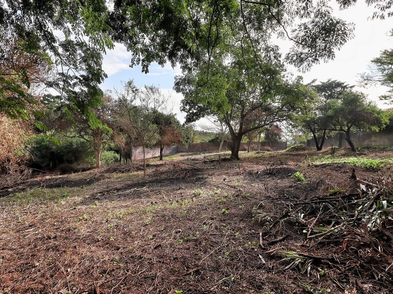 Prime Land in Mtubatuba! - Photo 8