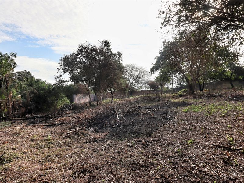 Prime Land in Mtubatuba! - Photo 7