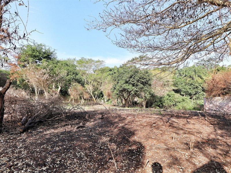 Prime Land in Mtubatuba! - Photo 6
