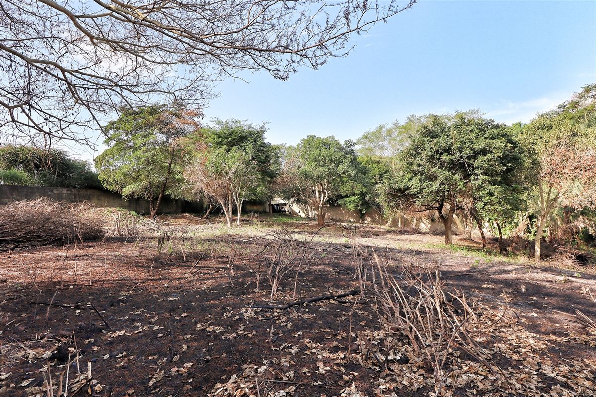 Prime Land in Mtubatuba! - Photo 5