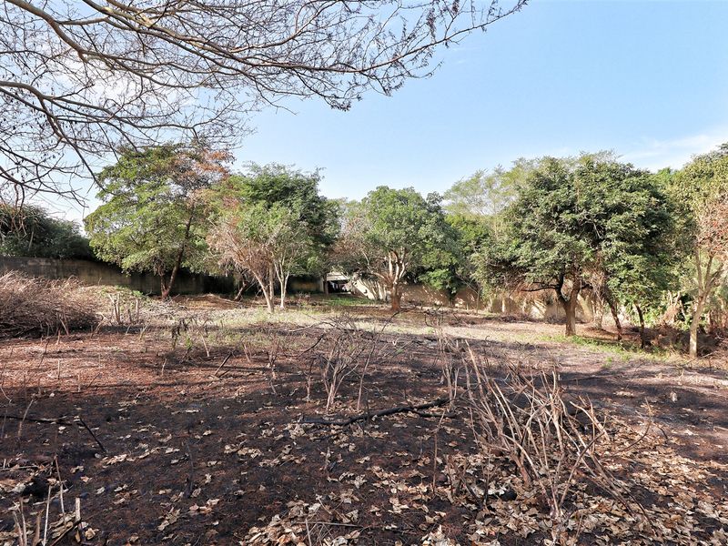 Prime Land in Mtubatuba! - Photo 5