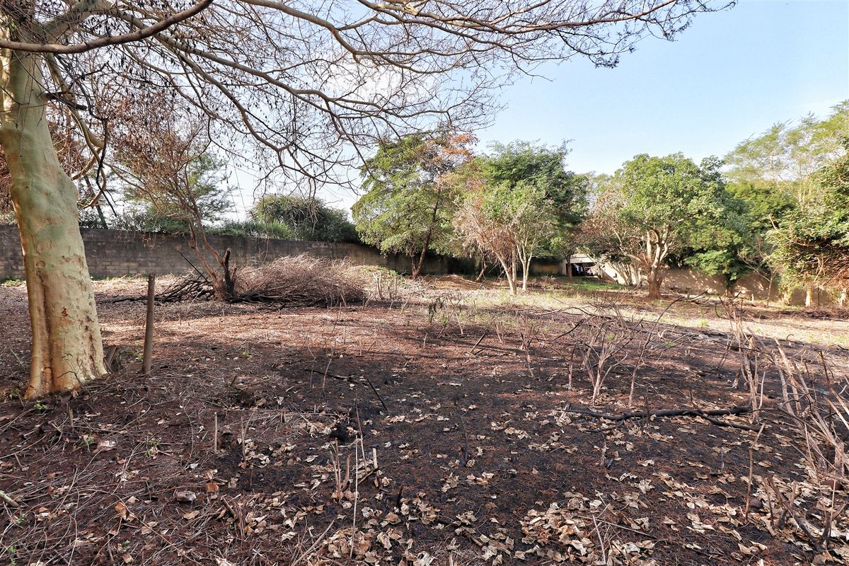 Prime Land in Mtubatuba! - Photo 3