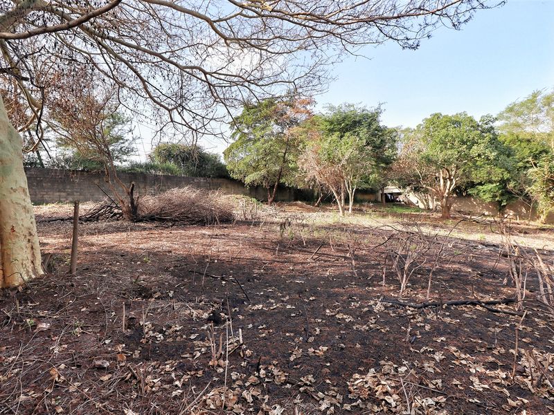 Prime Land in Mtubatuba! - Photo 3