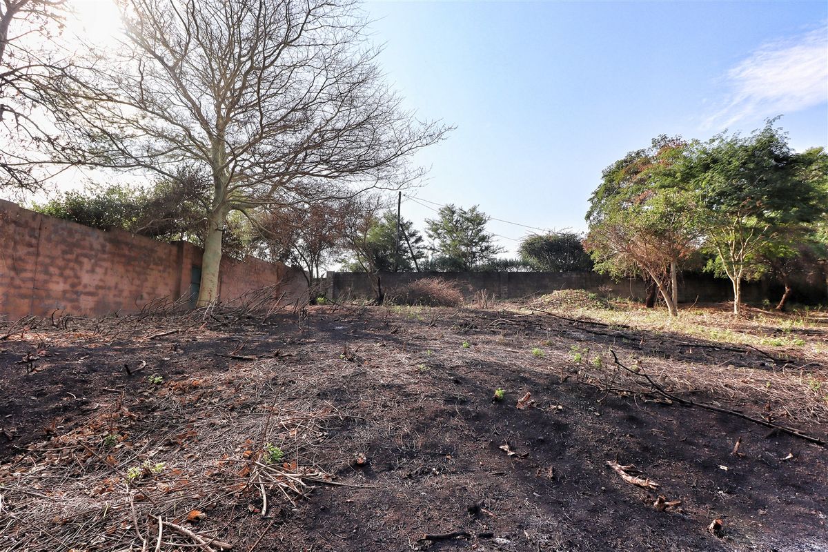 Prime Land in Mtubatuba! - Photo 4