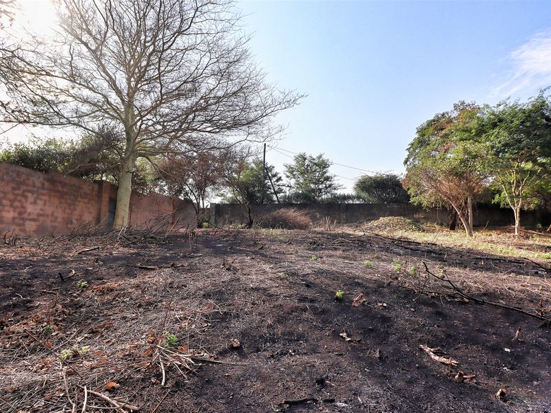 Prime Land in Mtubatuba! - Photo 4