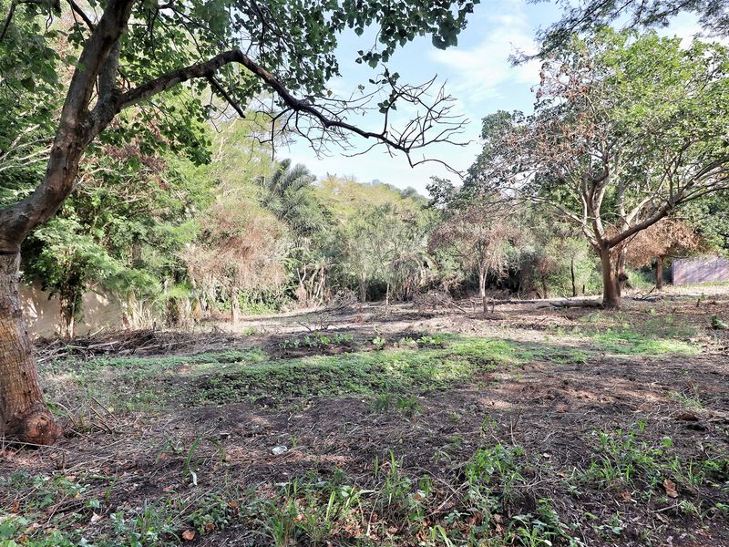 Prime Land in Mtubatuba! - Photo 2