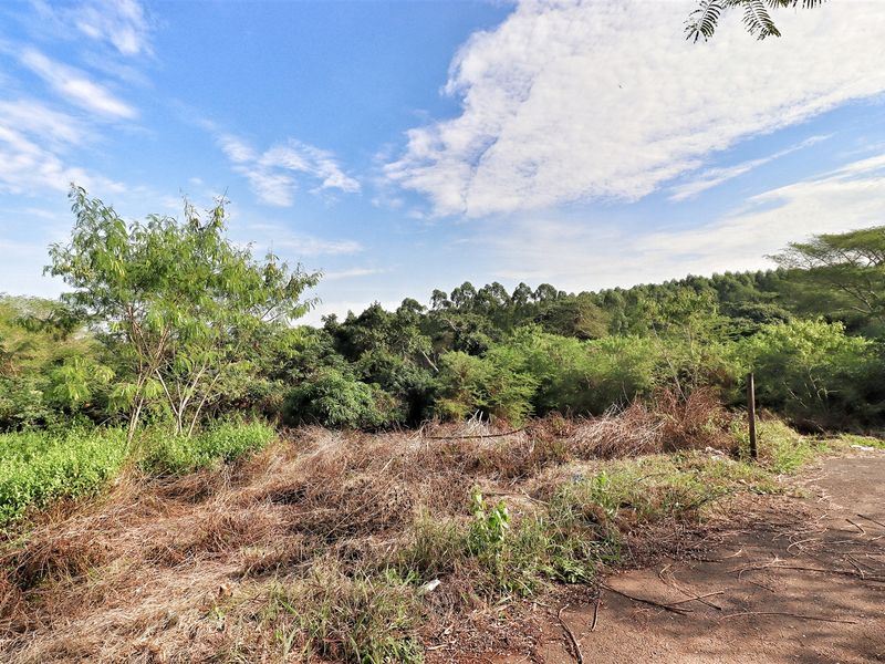 Prime Land in Mtubatuba! - Photo 10