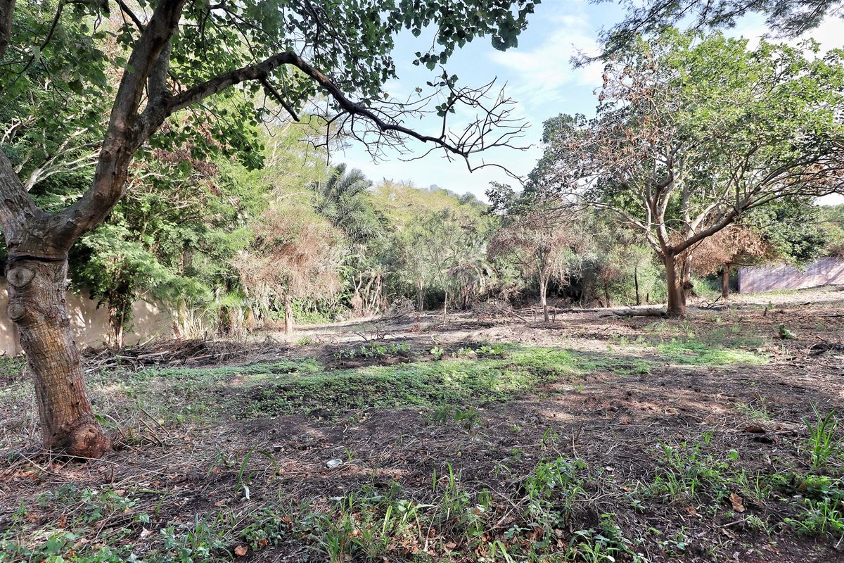 Prime Land in Mtubatuba! - Photo 2