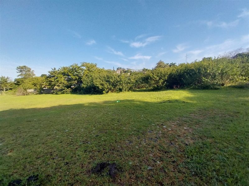 A spacious, level residential plot featuring a well-maintained grass lawn and established perimeter trees, offering a private setting for future development.