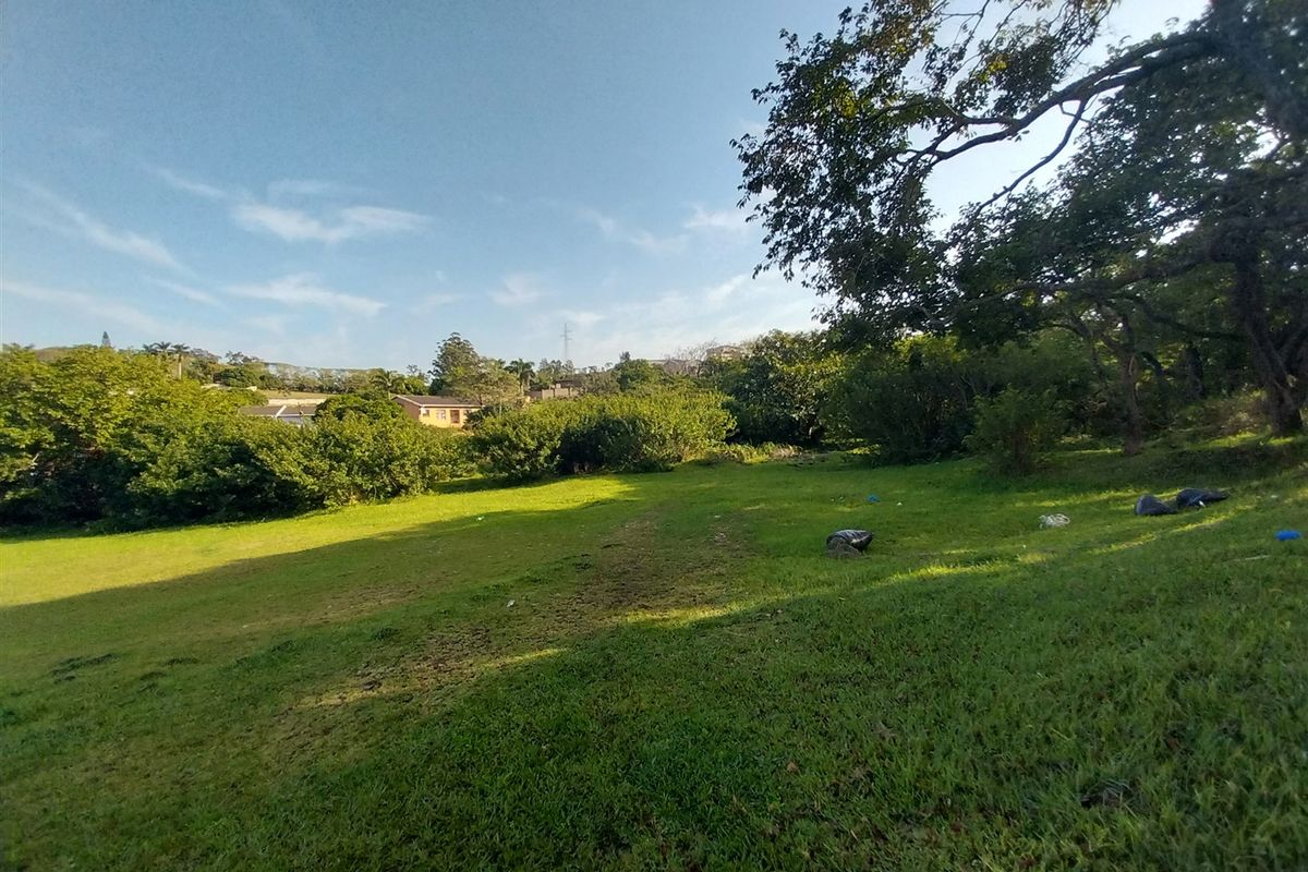 A view of a sloped, grassy residential plot featuring mature trees and surrounding vegetation.