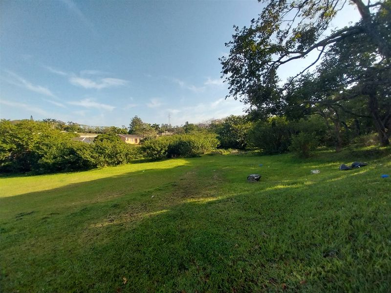 A view of a sloped, grassy residential plot featuring mature trees and surrounding vegetation.