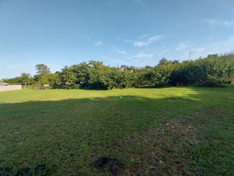 A spacious, level residential plot featuring established lawn and mature perimeter trees, offering a private and green setting for potential development.