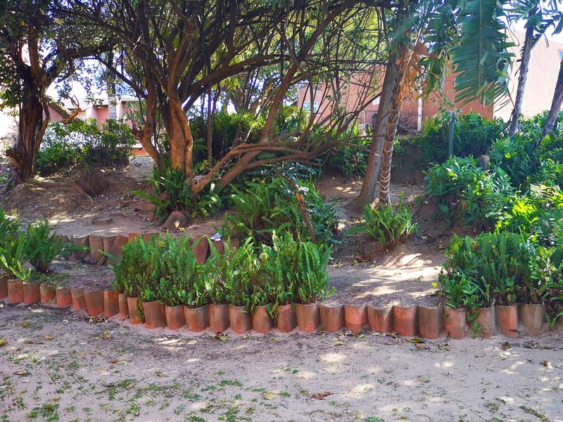 A garden area featuring mature trees and established shrubbery with terracotta edging, requiring some maintenance to improve ground cover and soil condition.
