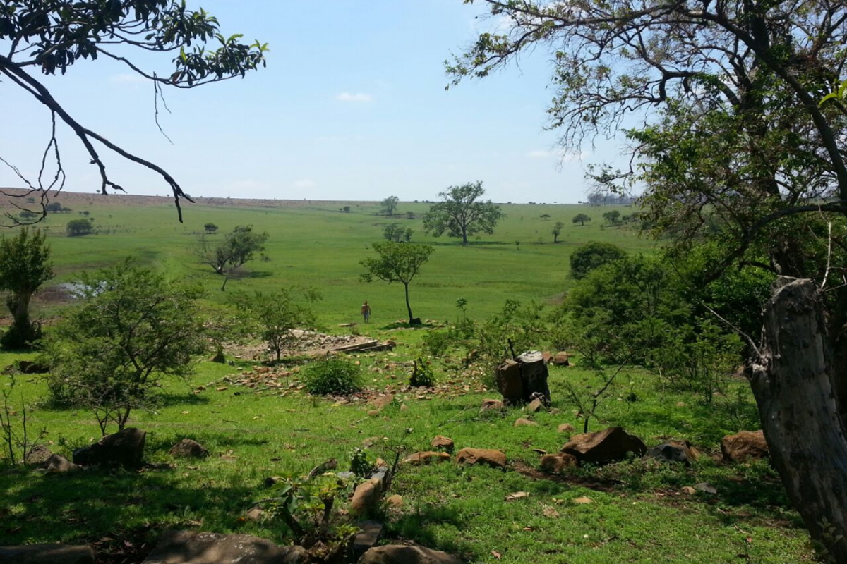 747 Hectares of Incredible Potential! - Photo 5