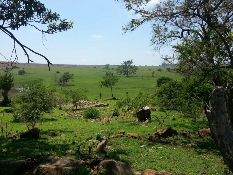 747 Hectares of Incredible Potential! - Photo 5