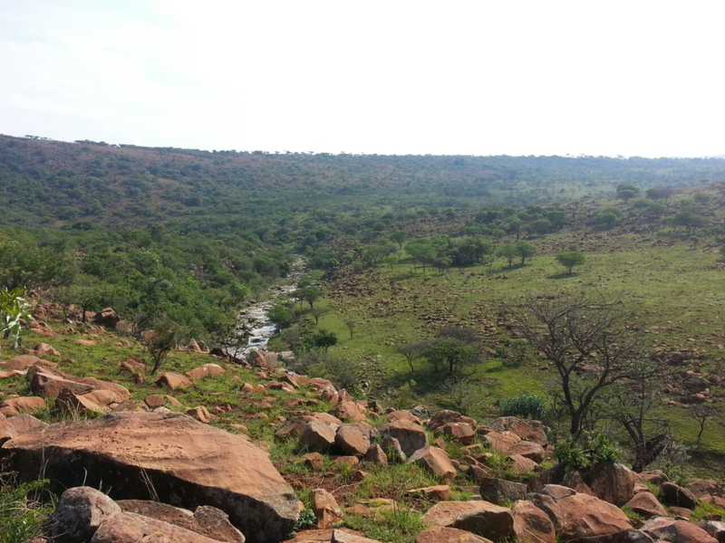 747 Hectares of Incredible Potential! - Photo 10