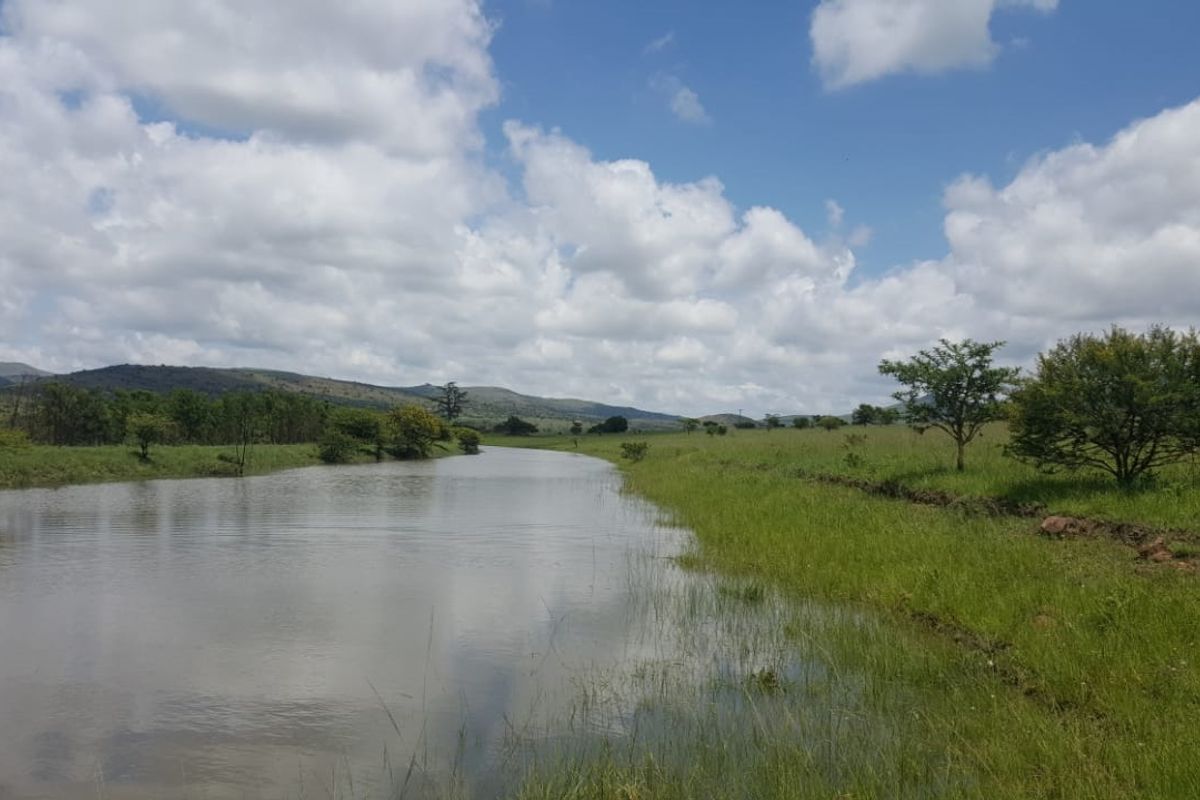 747 Hectares of Incredible Potential! - Photo 4