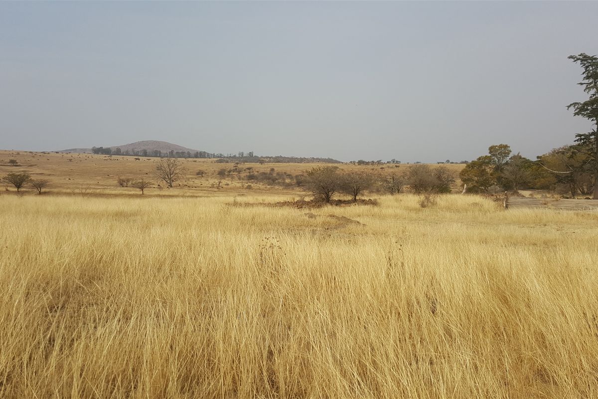 747 Hectares of Incredible Potential! - Photo 2