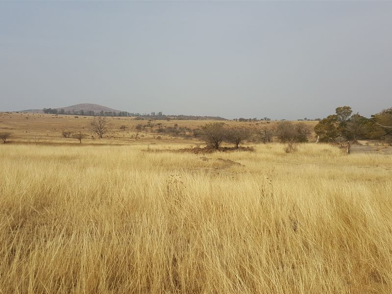 747 Hectares of Incredible Potential! - Photo 2