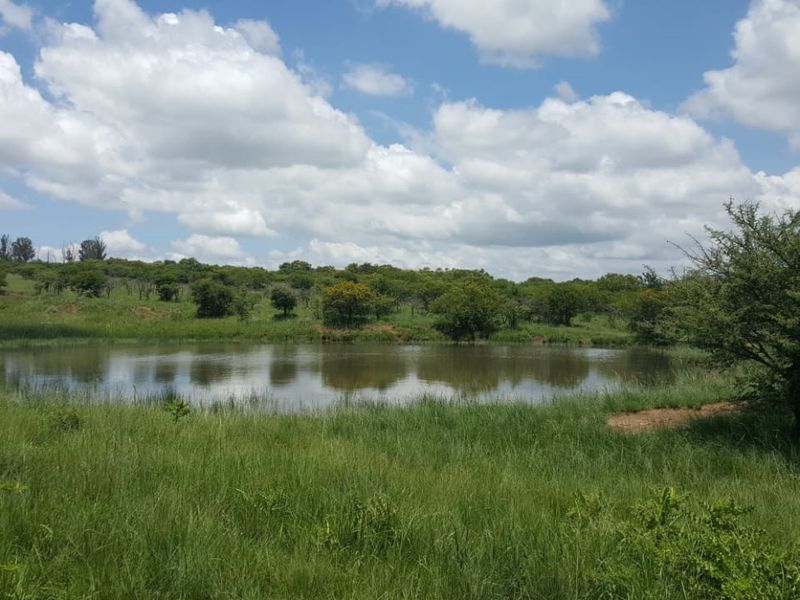 747 Hectares of Incredible Potential! - Photo 8