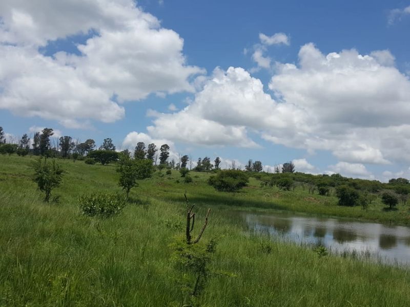 747 Hectares of Incredible Potential! - Photo 7