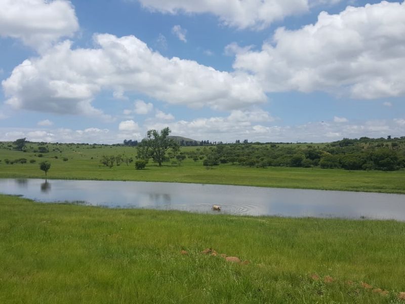 747 Hectares of Incredible Potential! - Photo 6