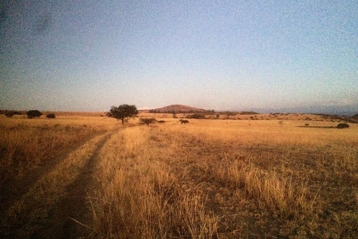 747 Hectares of Incredible Potential! - Photo 3