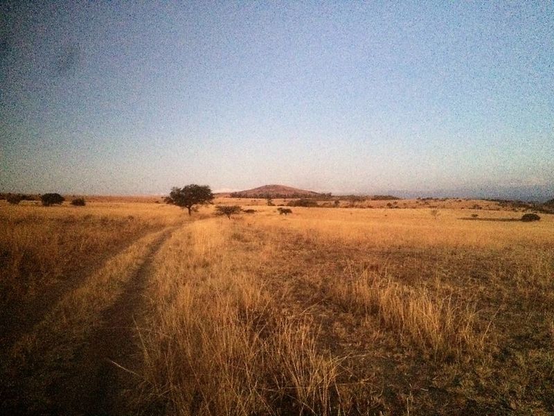 747 Hectares of Incredible Potential! - Photo 3