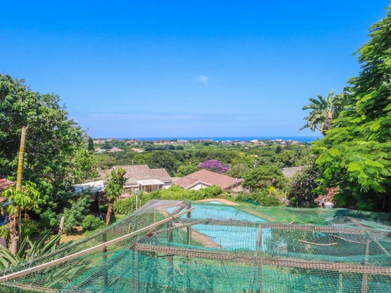 Elevated view overlooking the surrounding residential area, lush greenery, and a swimming pool with a protective safety net.