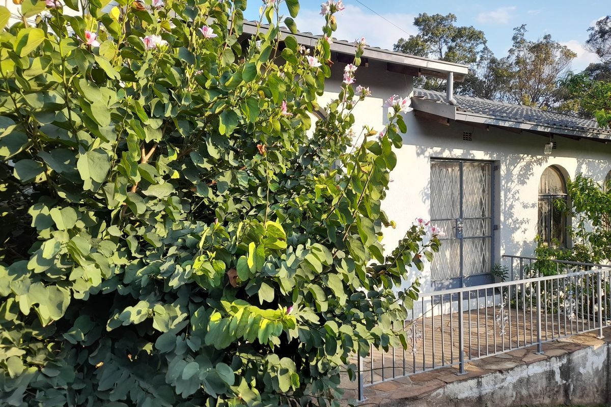 A rear exterior view of the house featuring a stone patio, metal security gate, and arched window, surrounded by established garden greenery.
