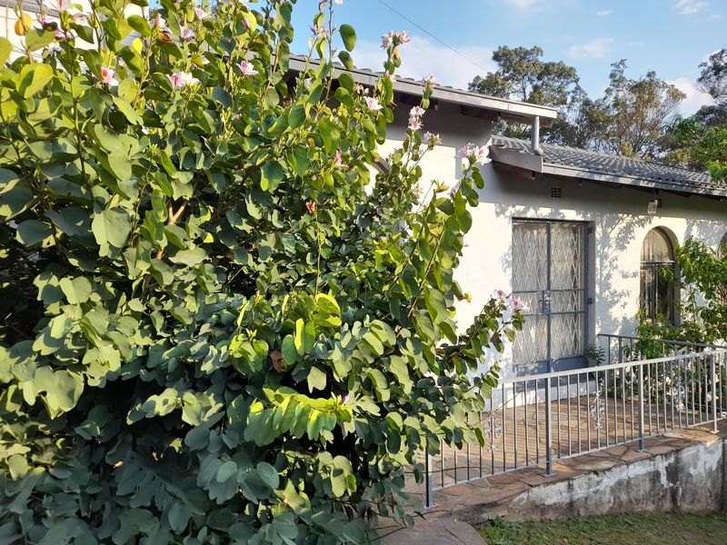 A rear exterior view of the house featuring a stone patio, metal security gate, and arched window, surrounded by established garden greenery.