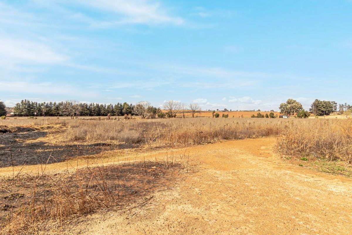 12.5 Ha plot with house. - Photo 4