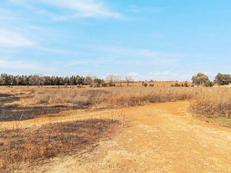 12.5 Ha plot with house. - Photo 4