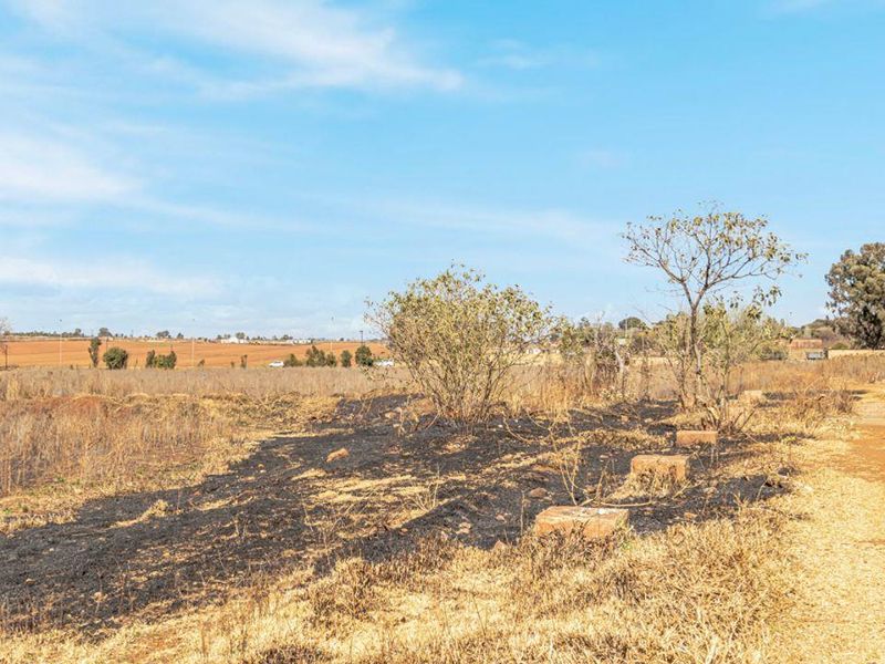 12.5 Ha plot with house. - Photo 10