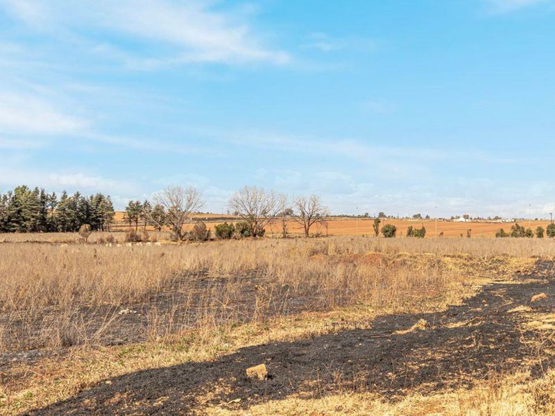 12.5 Ha plot with house. - Photo 9