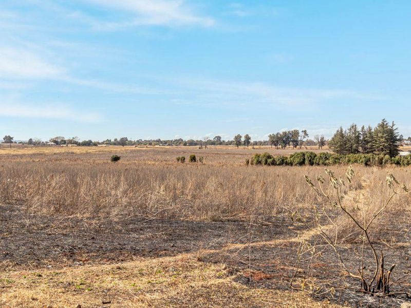 12.5 Ha plot with house. - Photo 8