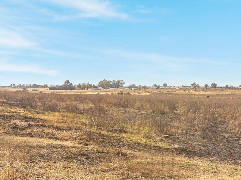 12.5 Ha plot with house. - Photo 7