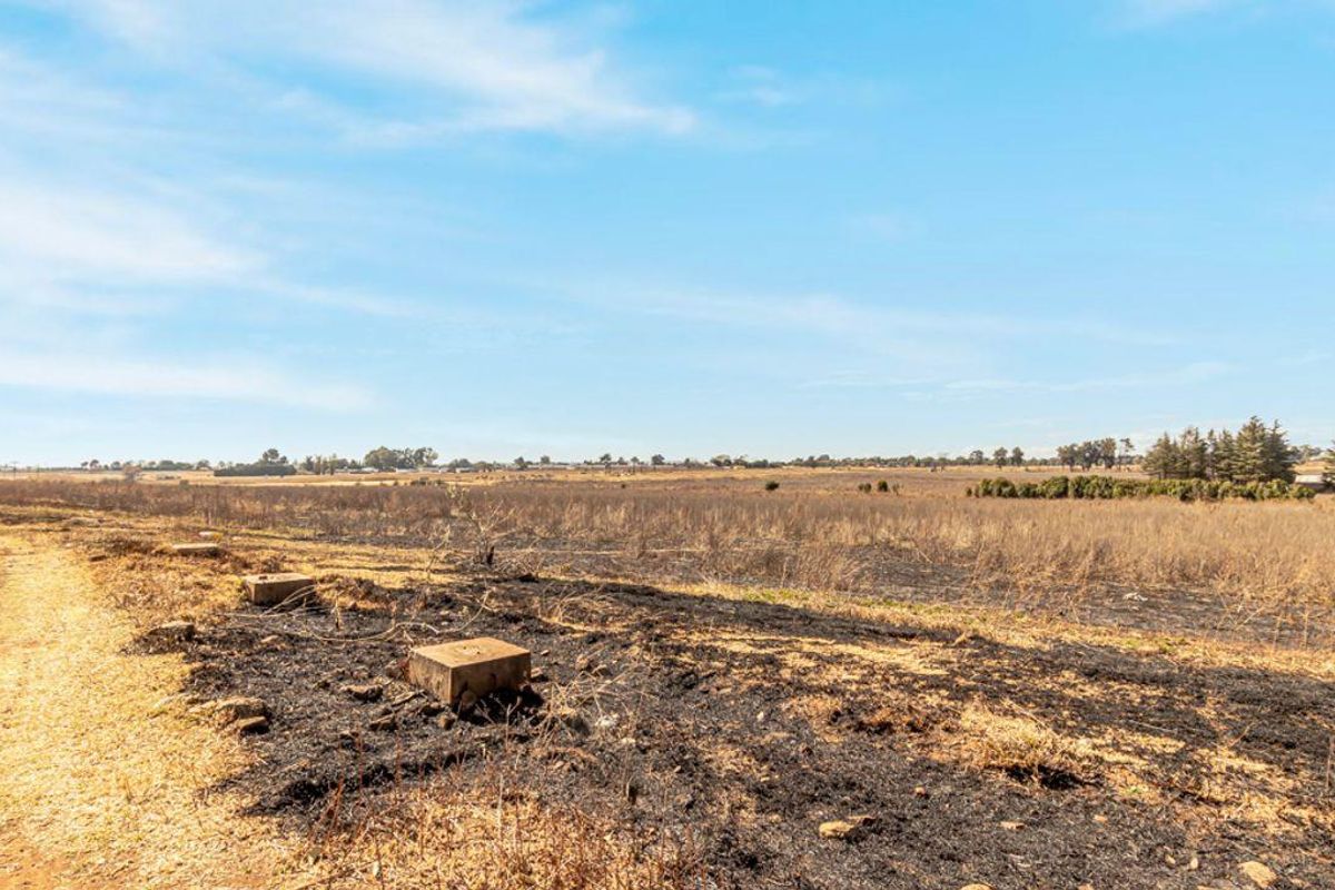 12.5 Ha plot with house. - Photo 5