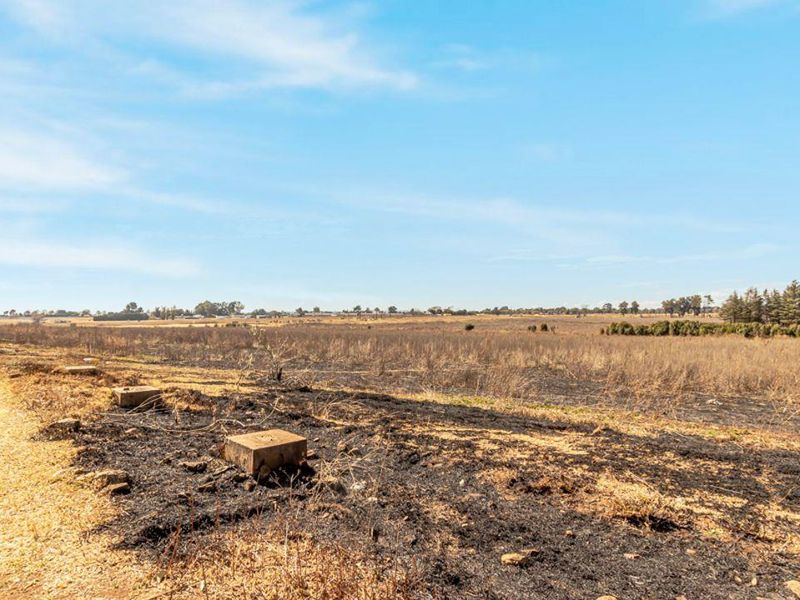 12.5 Ha plot with house. - Photo 5