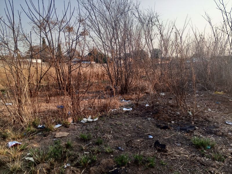 A Vacant Land With Services Available In Lombardy East. - Photo 4