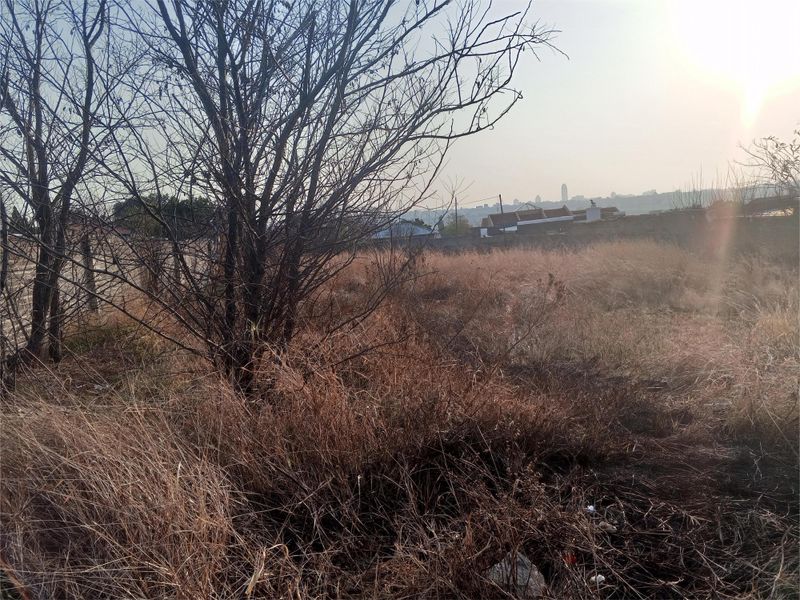 A Vacant Land With Services Available In Lombardy East. - Photo 5