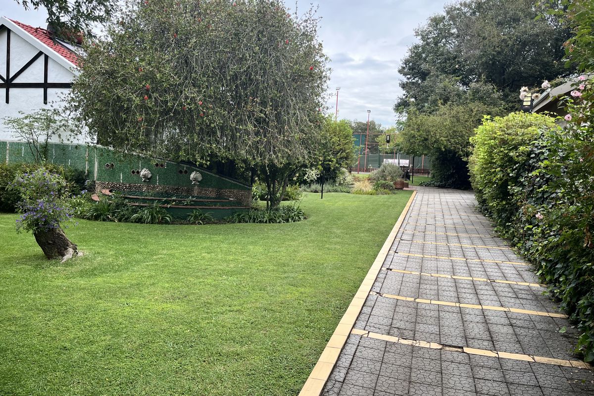 HOME ON LARGE STAND IN BOOMED OFF AREA - Photo 3