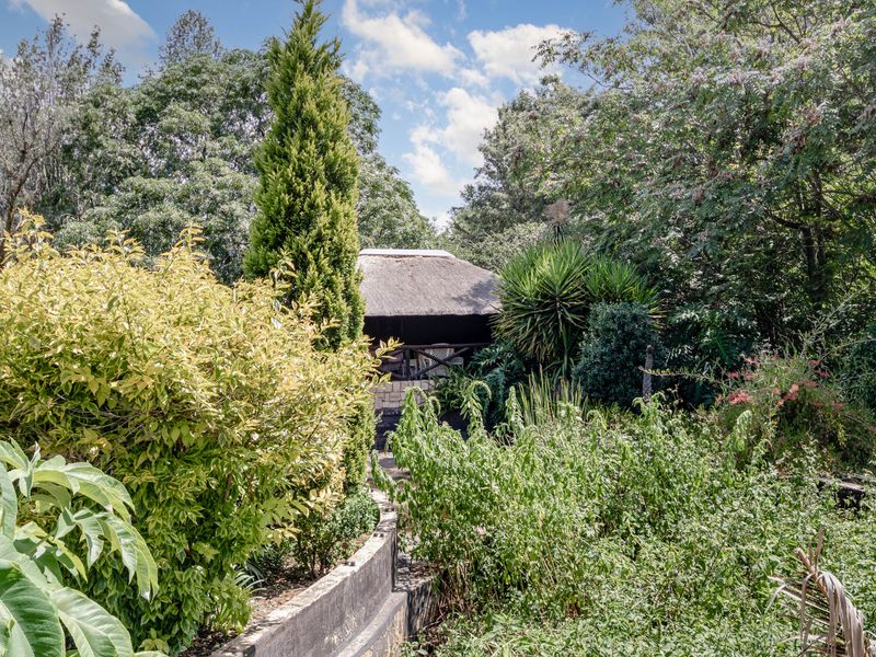 5-Acre Lifestyle Estate with 8 Income-Generating Cottages in Benoni Small Farms - Photo 8