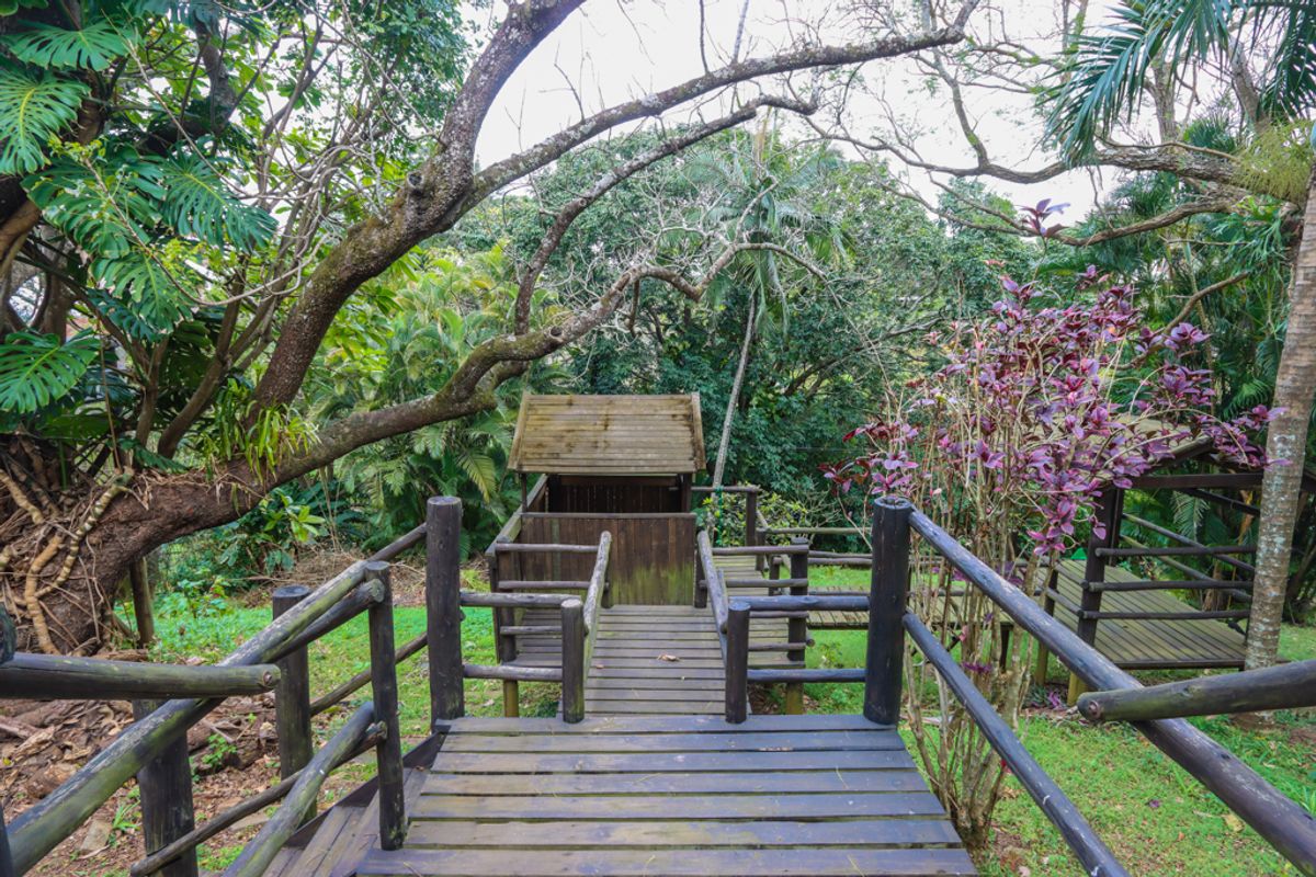 Spacious Five Bedroom Family Home - Photo 3